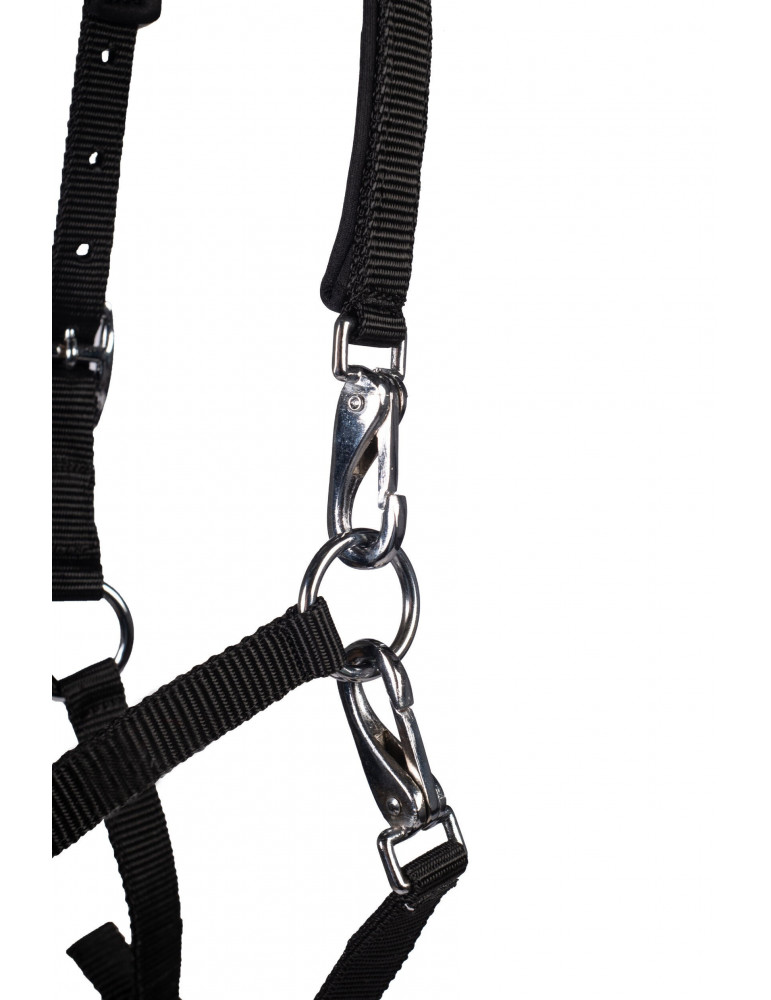 Licol poulain MILLIE noir