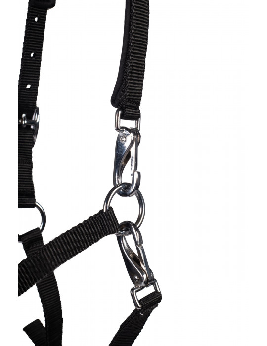 Licol poulain MILLIE noir