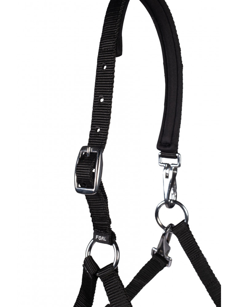 Licol poulain MILLIE noir