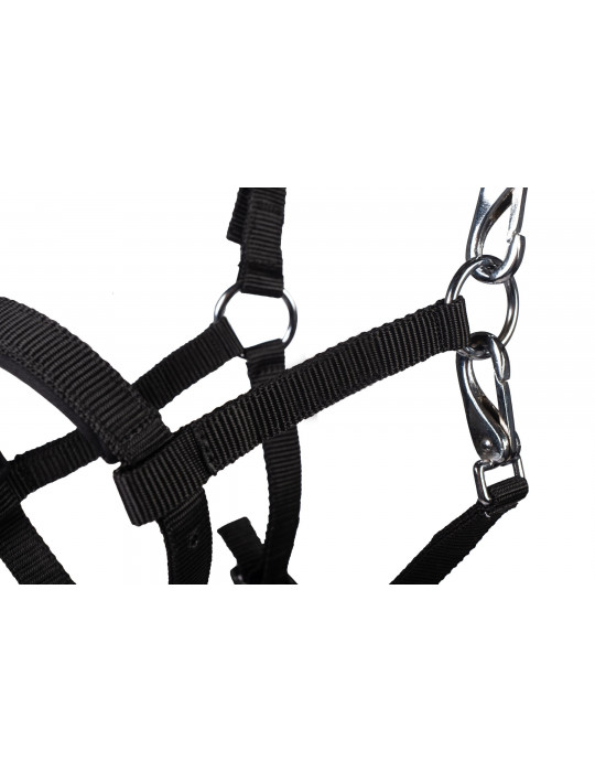 Licol poulain MILLIE noir