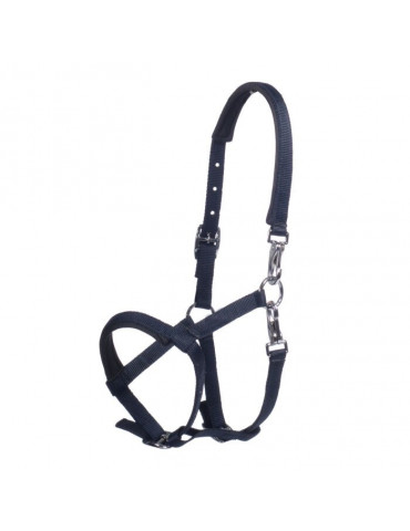 Licol poulain MILLIE bleu marine