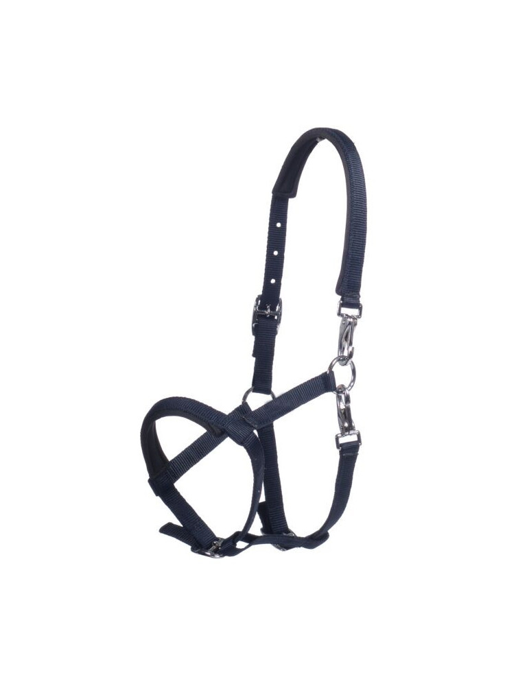 Licol poulain MILLIE bleu marine