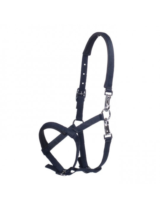 Licol poulain MILLIE bleu marine