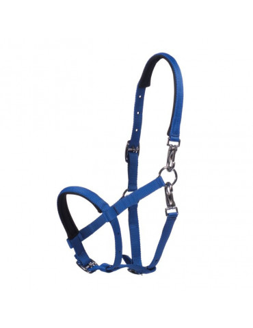 Licol poulain MILLIE bleu clair