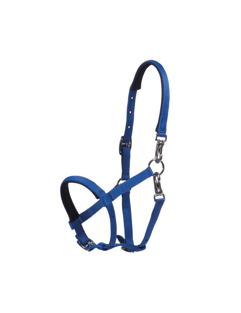 Licol poulain MILLIE bleu clair