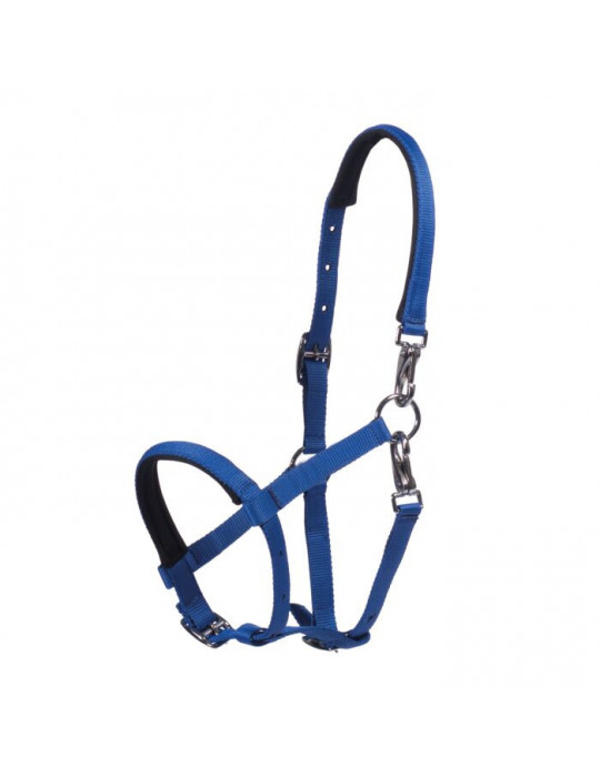 Licol poulain MILLIE bleu clair