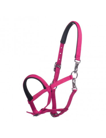 Licol poulain MILLIE rose