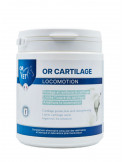 Or-Cartilage 750g Or-Vet – Soutien articulaire cheval, plantes et chondroprotecteurs