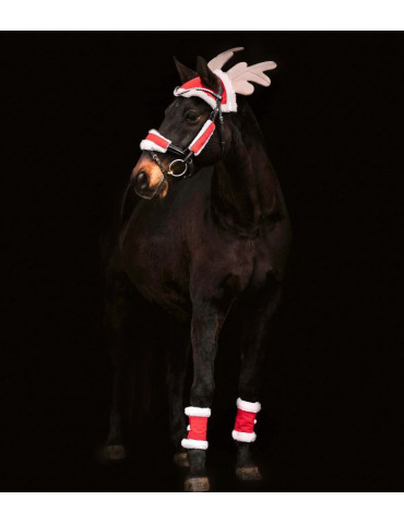 Set de Noël Waldhausen pour chevaux