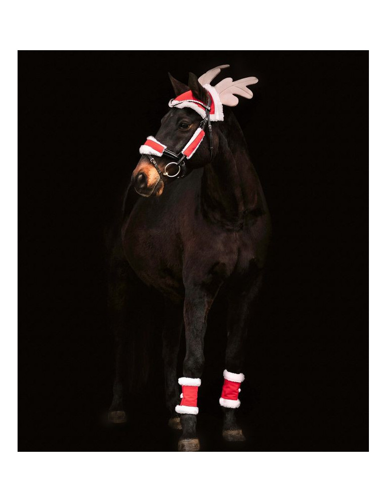 Set de Noël Waldhausen pour chevaux