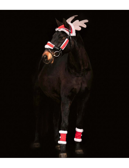 Set de Noël Waldhausen pour chevaux