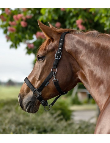 Licol Gloomy, noir, Full 2