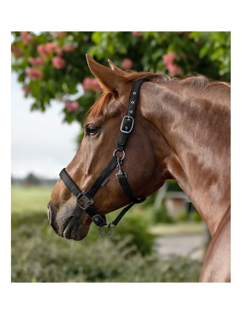 Licol Gloomy, noir, Full