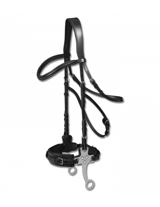 hackamore x-line cheval noir