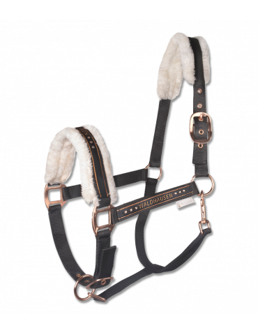 Licol Elegant, noir-or rosé, PON