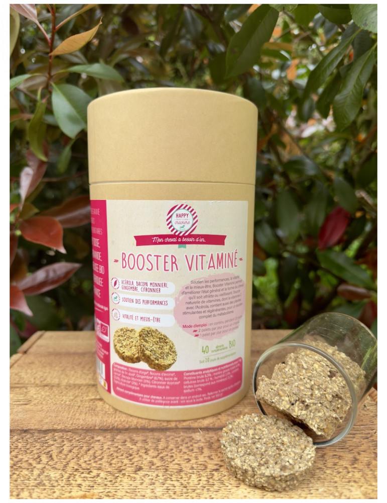 Complements VITAMINES 40 Palets - 560 gr