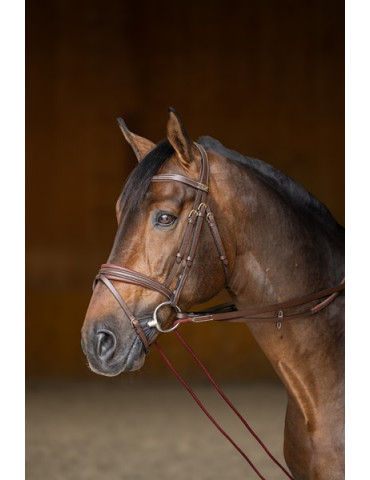 RENES ALLEMANDES HFI CUIR / CORDE - BRUN - FULL