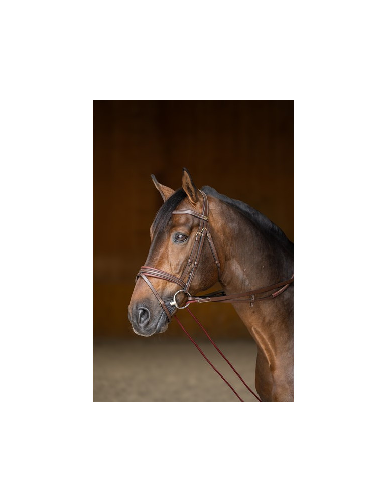 RENES ALLEMANDES HFI CUIR / CORDE - BRUN - FULL