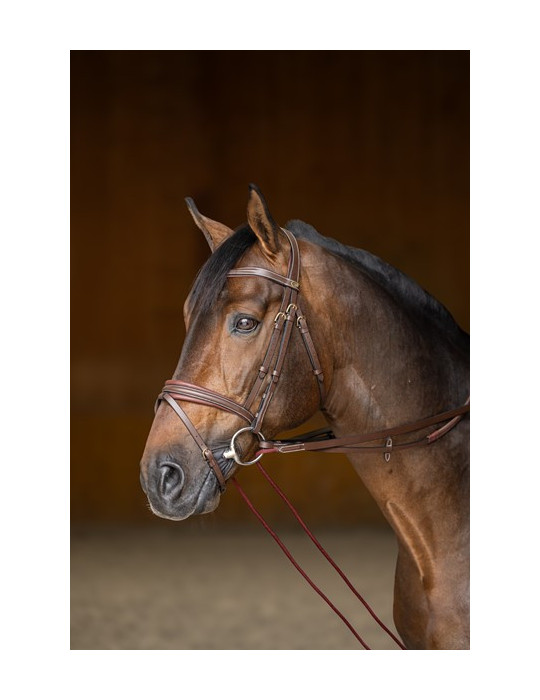 RENES ALLEMANDES HFI CUIR / CORDE - BRUN - FULL