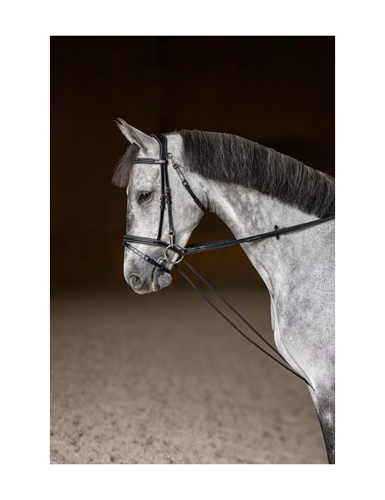 RENES ALLEMANDES HFI CUIR / CORDE - NOIR - FULL