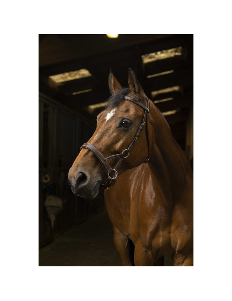 Side-pull norton brun taille cheval