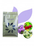 Phyto Jument 1kg - Complement Plantes Jument - Nature Horse