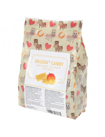 Friandises DELIZIA miel/mangue 600g