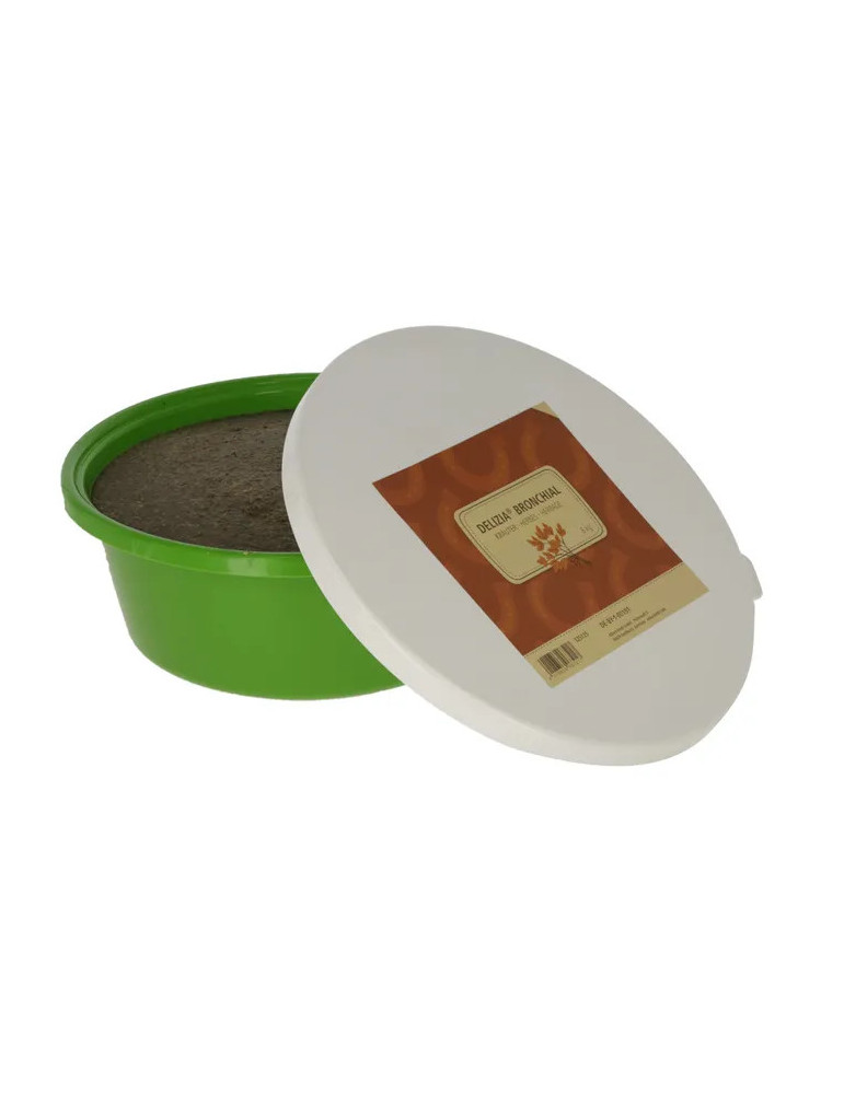 Pierre à lécher bronchial DELIZIA 6kg