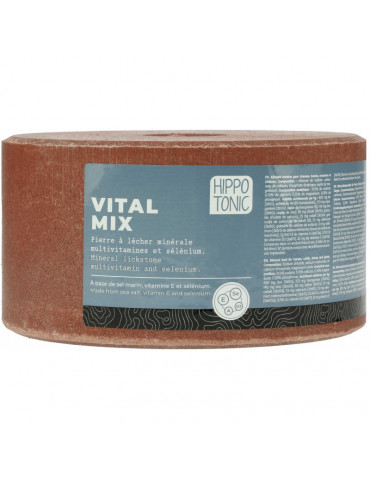 Pierre à sel Vitalmix 3kg