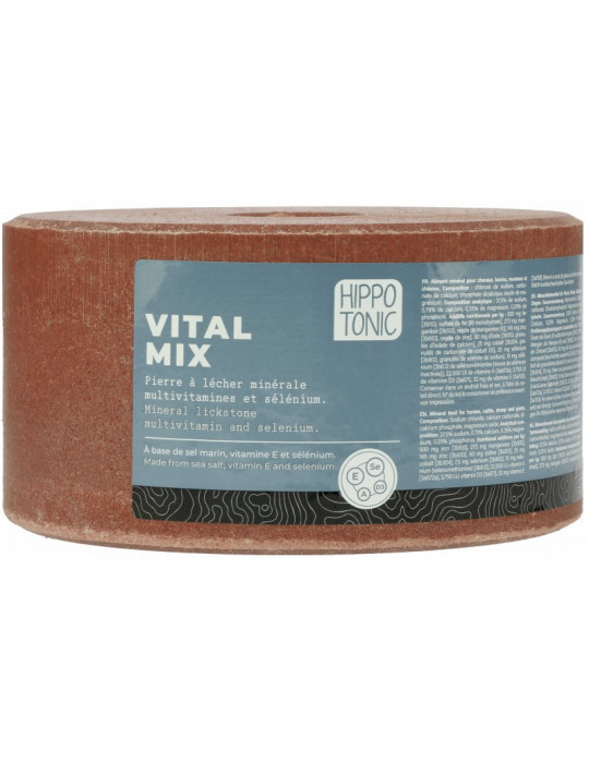Pierre à sel Vitalmix 3kg