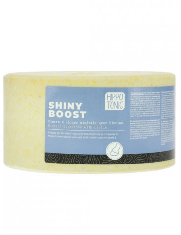 Pierre à sel Shiny Boost 3kg