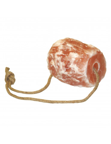 Pierre à sel Himalaya