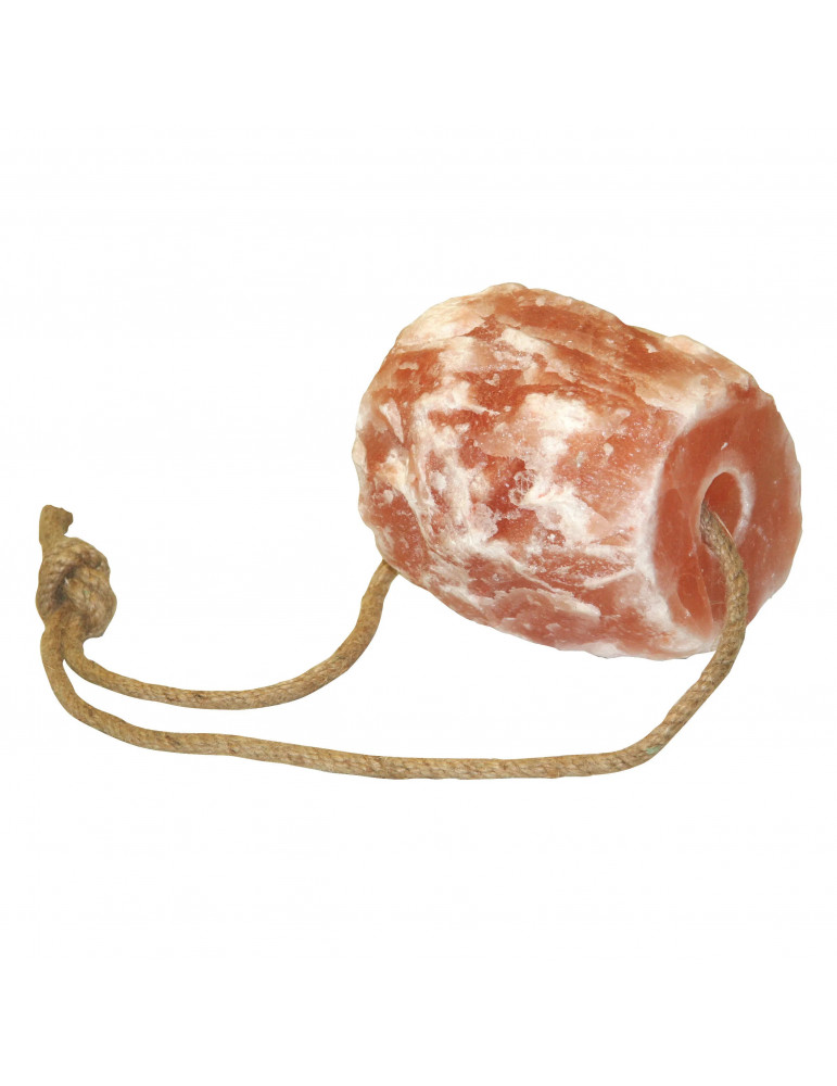 Pierre à sel Himalaya