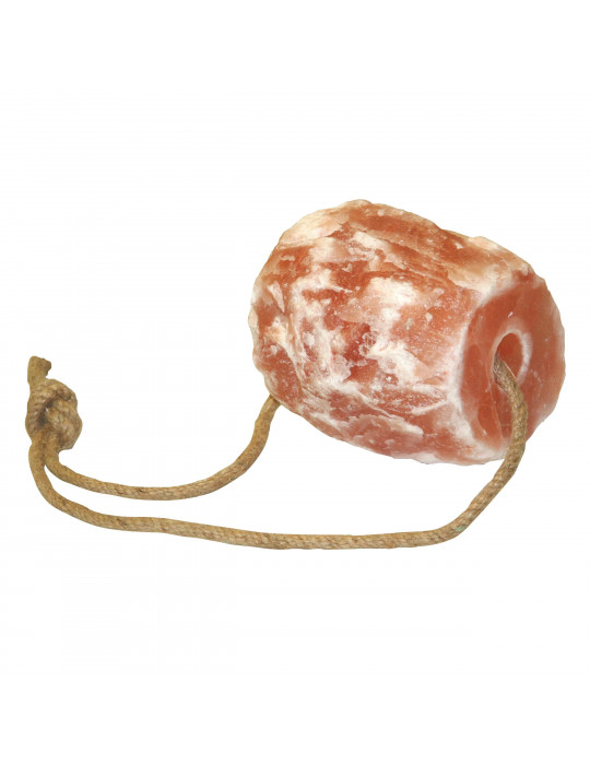 Pierre à sel Himalaya