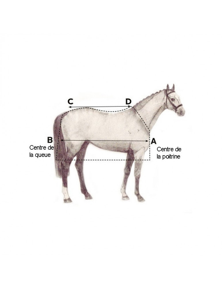 Liner Horseware Optimo 200 g, taille 6'3 (140 cm)
