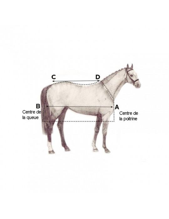 Liner Horseware Optimo 200 g, taille 6'3 (140 cm)
