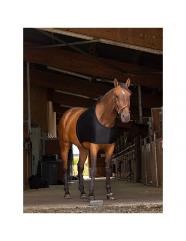 Protection épaules noir L 2