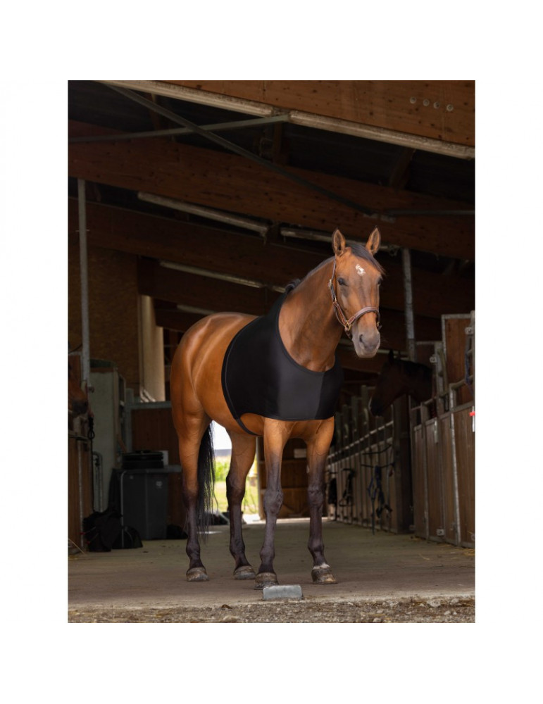 Protection épaules noir L