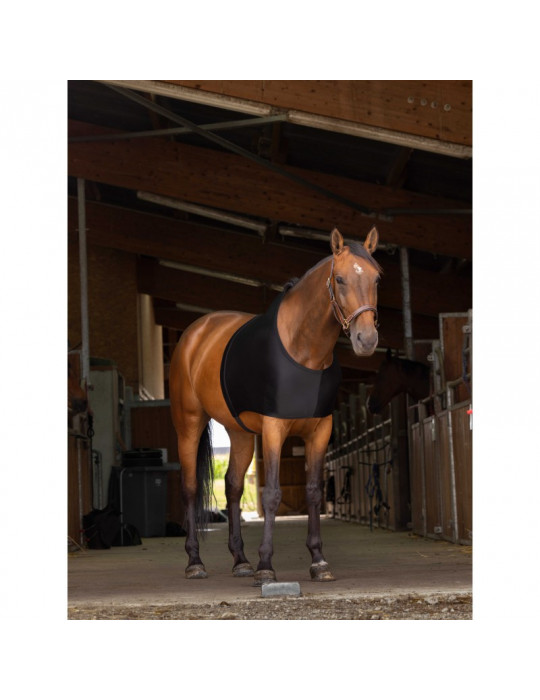 Protection épaules noir L