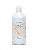 Energy Flash Booster 1l - Nature Horse Langon