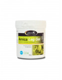 Arnica LeGel - Nature Horse Langon