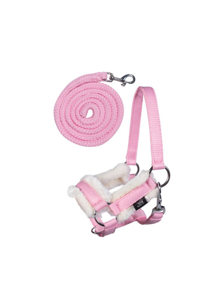 LICOL HOBBY HORSE ROSE