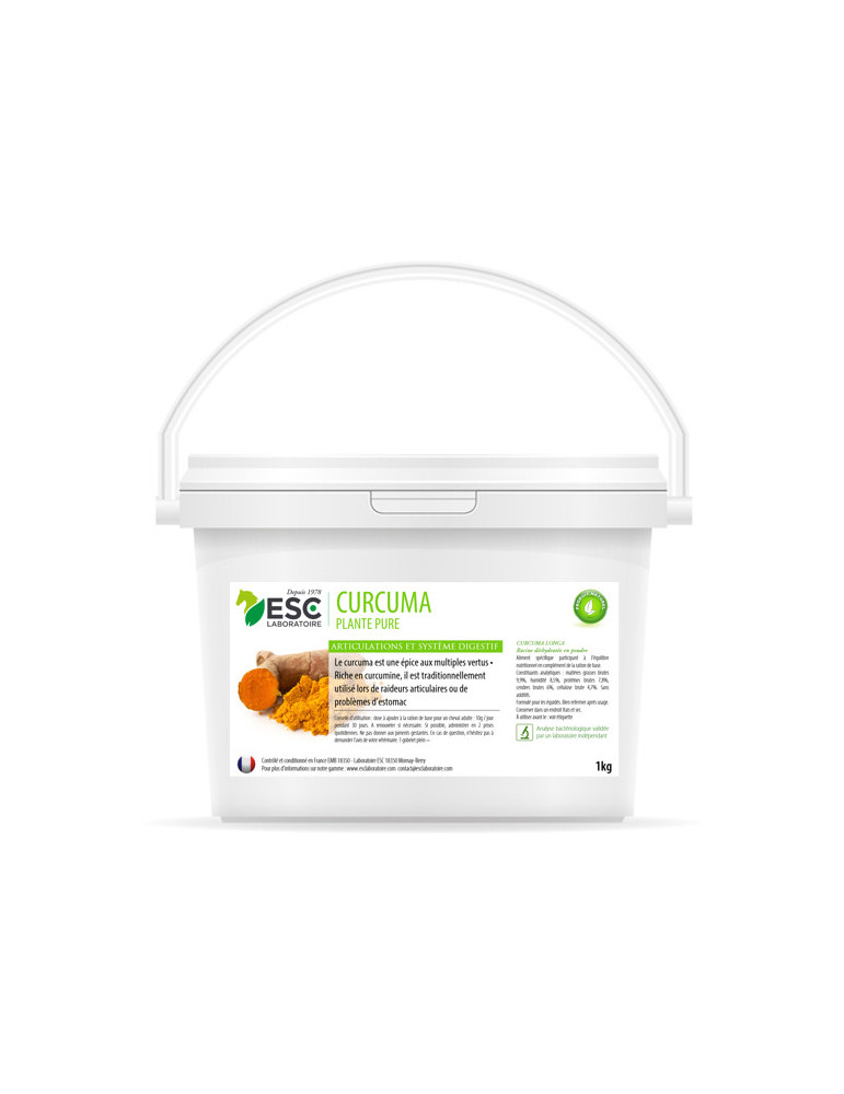 Curcuma ESC plante pure, articulations et digestion