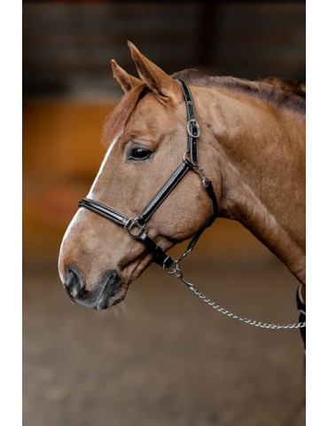 Licol cuir "Little Groom" Noir Cob