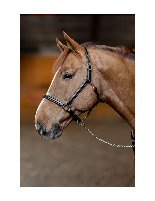 Licol cuir "Little Groom" Noir Cob