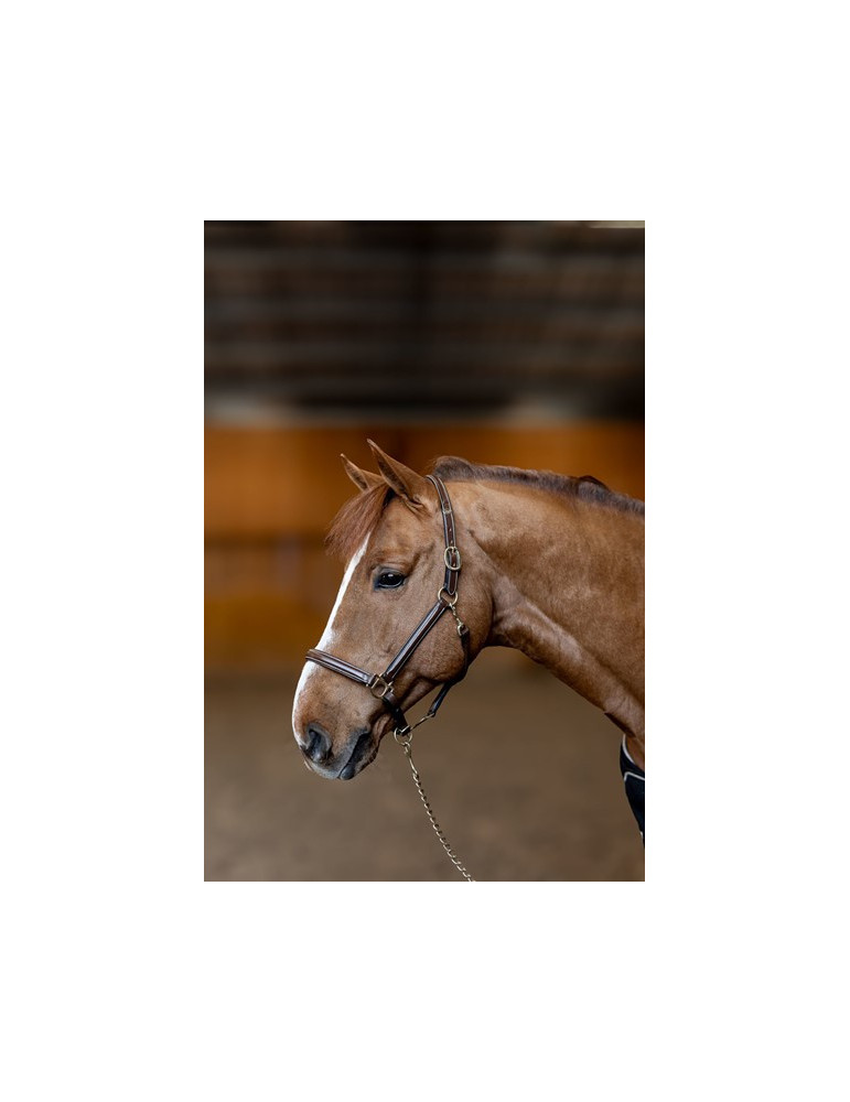 Licol cuir "Little Groom" Brun Full