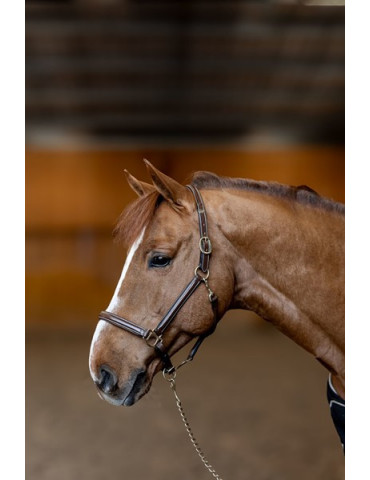 Licol cuir "Little Groom" Brun Cob