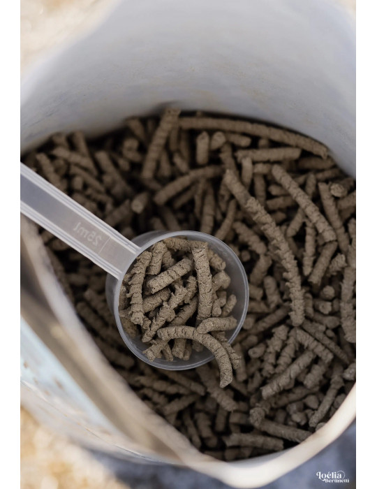 Gastropulse soutien gastrique ESC, 1 kg | Nature Horse Langon