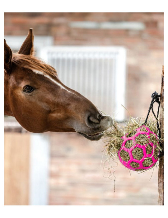 Boule à foin Rose