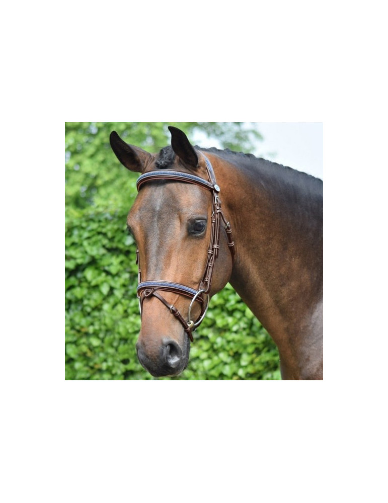 Frontal Crystal Noir Cheval